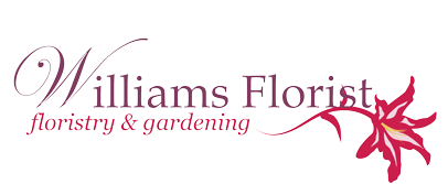 Williams Florist in Stalbridge
